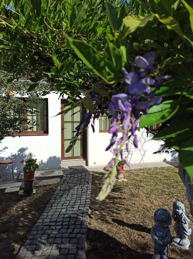 Courtyard Studio Oradea Zewnętrze zdjęcie