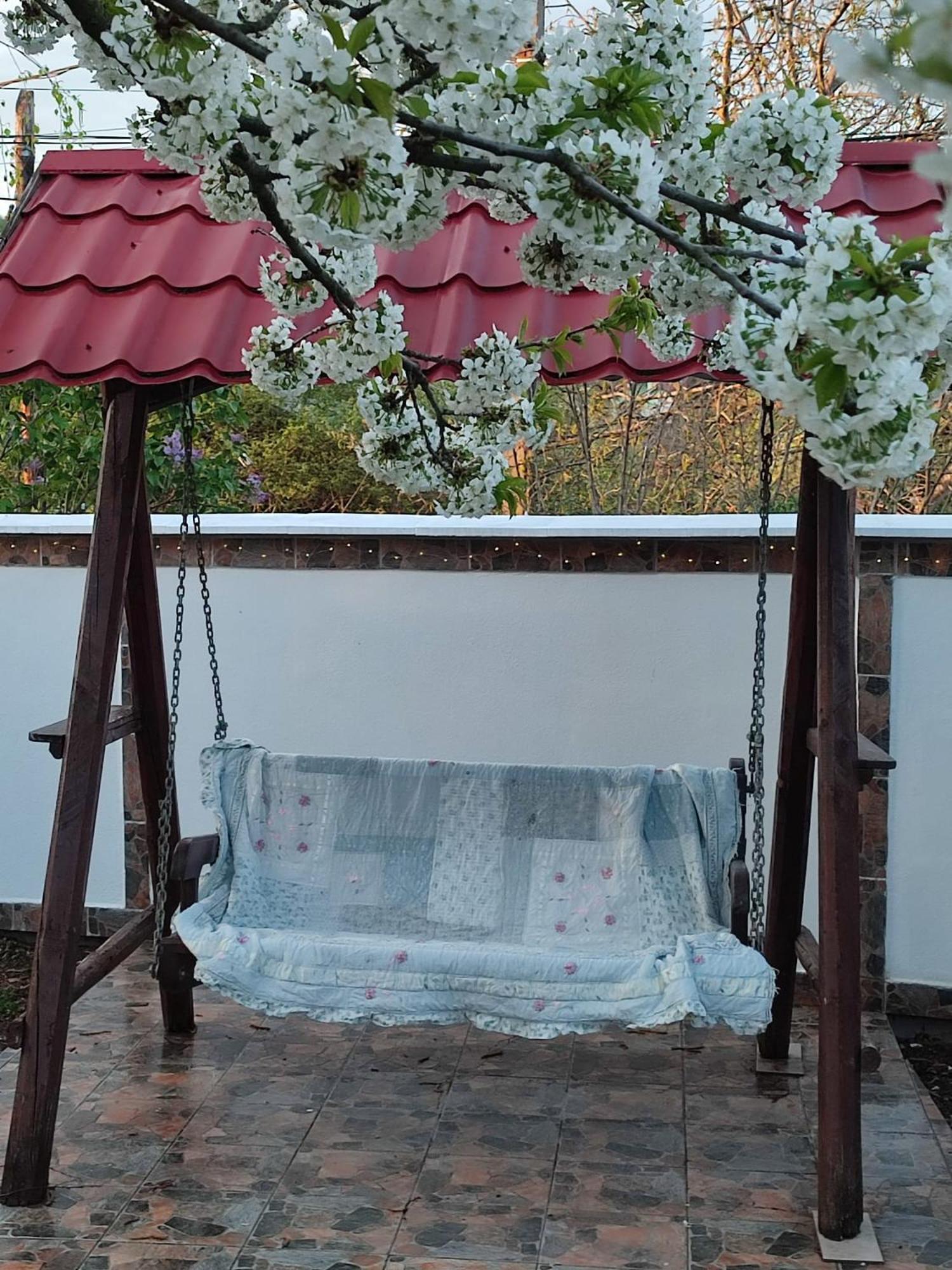 Courtyard Studio Oradea Zewnętrze zdjęcie