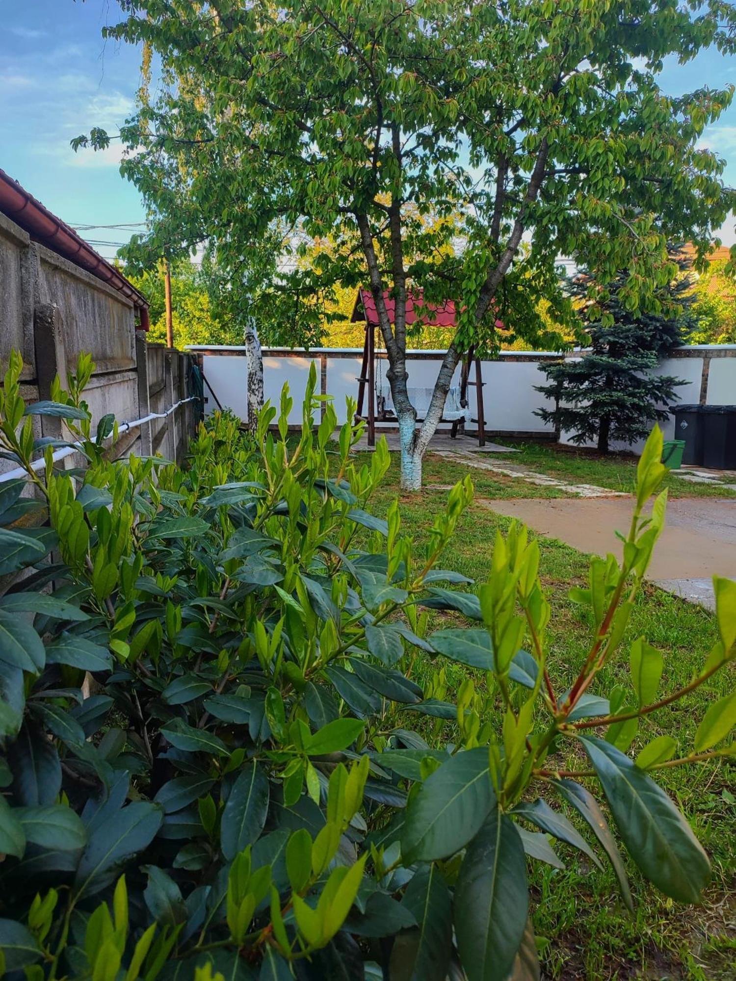 Courtyard Studio Oradea Zewnętrze zdjęcie